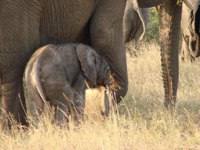 275 Paar uur later.jpg